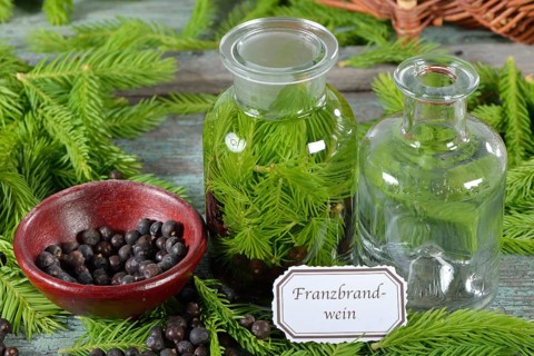 Production of french brandy