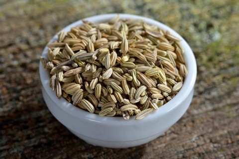 Fennelseeds