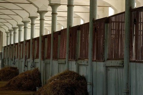Stable