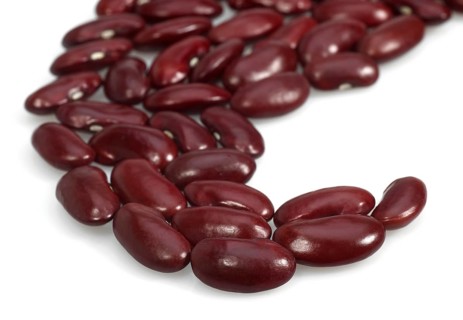 Garden Bean