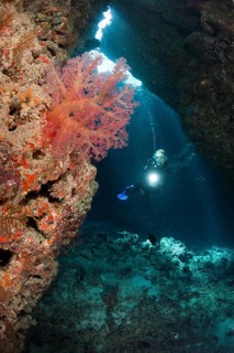 Diver in underwater cave