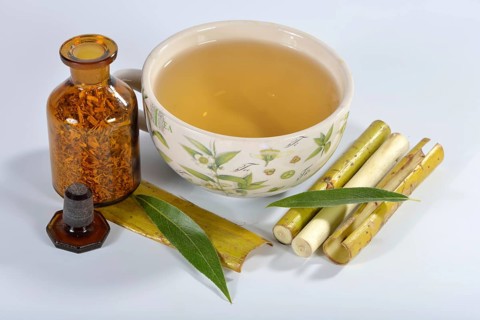 Willow bark tea