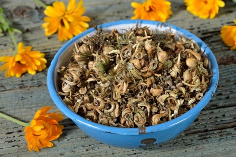 Marigolds
