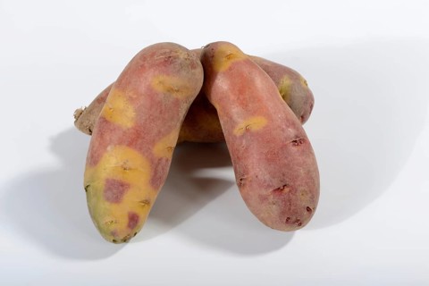 Potatoes