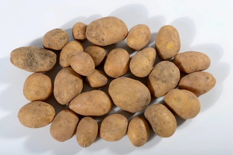 Potatoes