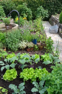 Nature garden and frame beds