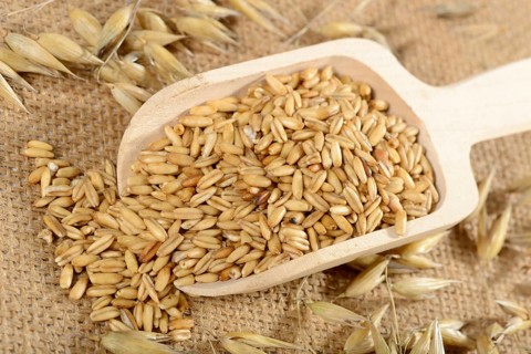 Oats