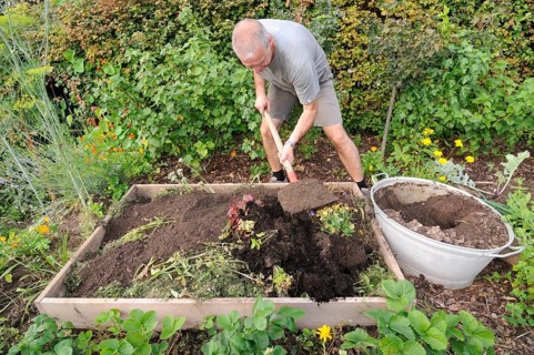 Organic garden