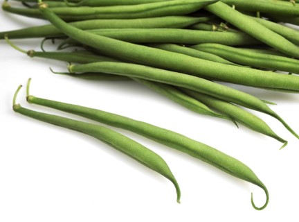 Garden Bean