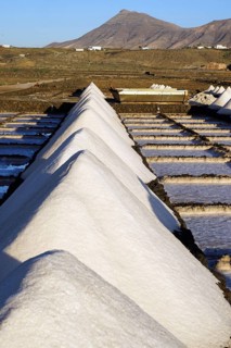 Salinas de Janubio