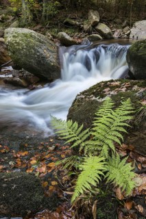 Ilsetal