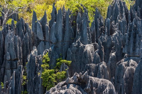 Karst landscape