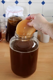Kombucha