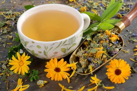 Cup herbal tea