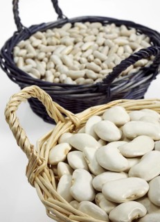 Garden Bean
