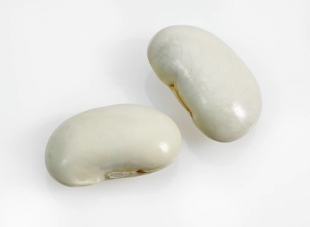 Garden Bean