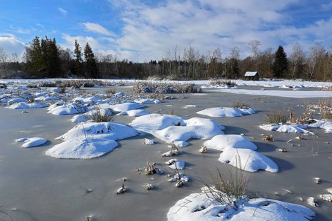 Moor lake