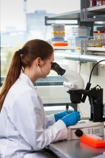 Biology student at the microscope at the Faculty of Biology in the University of Duisburg-Essen during research work
