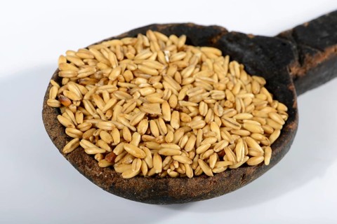 Oats