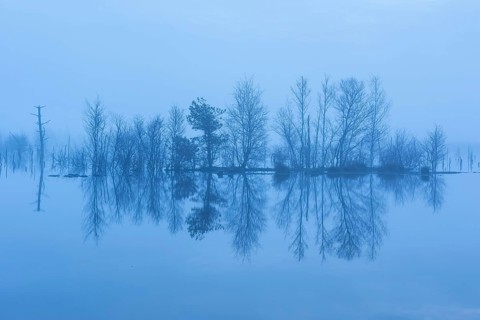 Moor at the blue hour