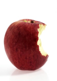 Malus domestica