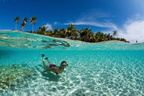 Snorkeling in front of Palm Island