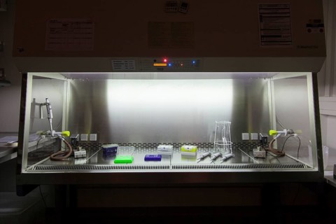 Biology Laboratory for RNA Isolation in the Genetic Engineering Department of the University of Duisburg-Essen