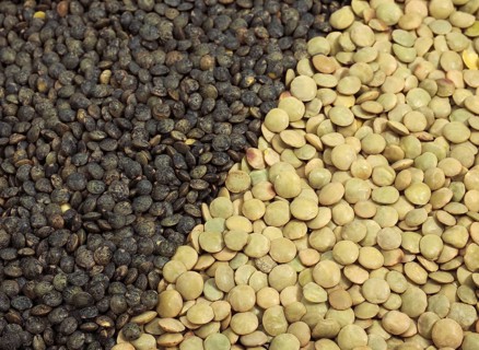 French green Puy lentils