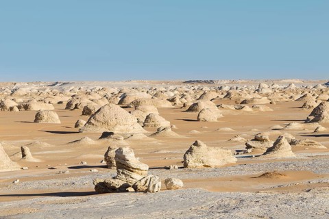 View over the white desert