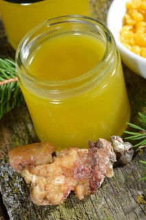 Production of spruce resin ointment