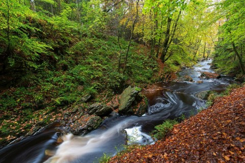 La Hoegne torrent