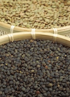 French lentils called Puy lentils and St. flour lentils