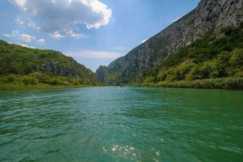 Omis