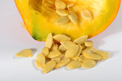 Hokkaido pumpkin