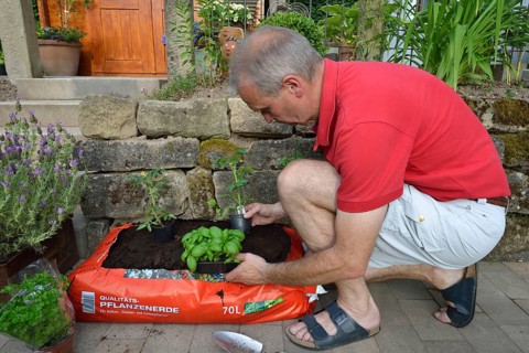 Planting bag with potting soil