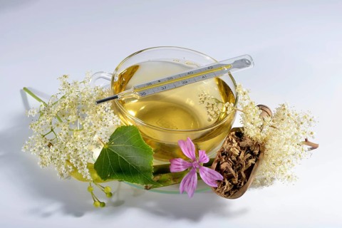 Cold and flu tea
