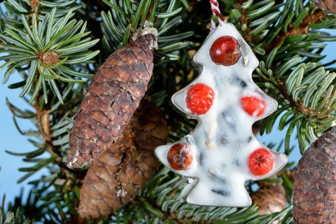Bird food with coconut fat