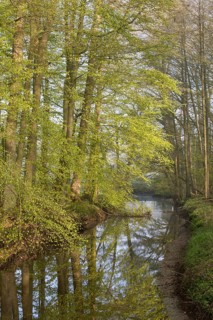 Moorbach