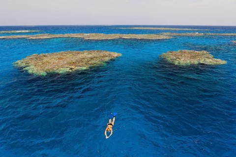 Reefs near Zabargad