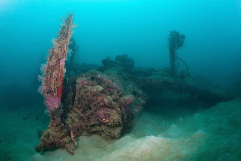 Star engine of the Dauntless Dive Bomber aircraft wreck