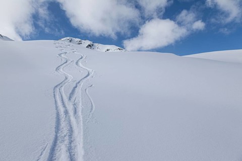 Two lonely ski tracks in front of a blue sky
