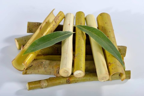 White willow