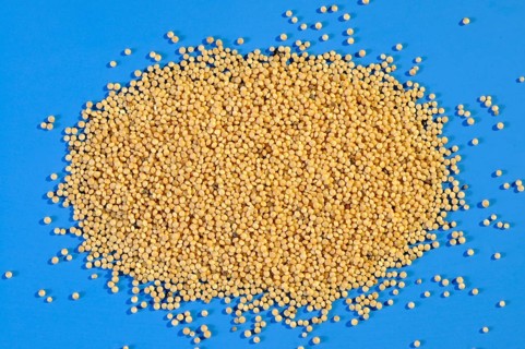 Amaranth