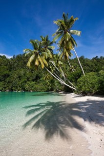 Tropical island in the Strait of