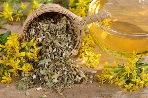 Cup goldenrod tea