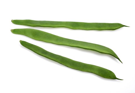 Garden Bean