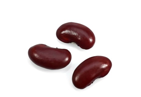 Garden Bean