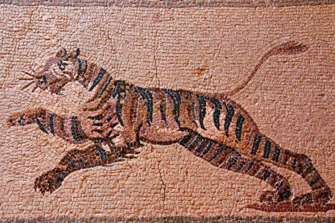 Mosaic Racing Tiger
