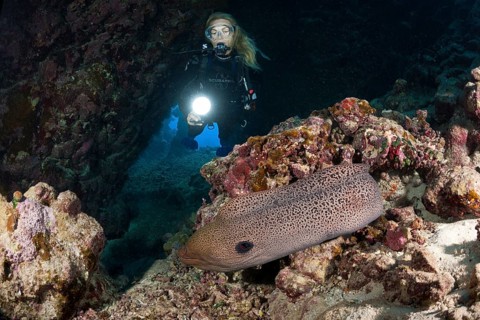 Diver in underwater cave