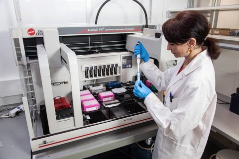 Research assistant at the pipetting robot of the Faculty of Biology at the University of Duisburg-Essen during research work